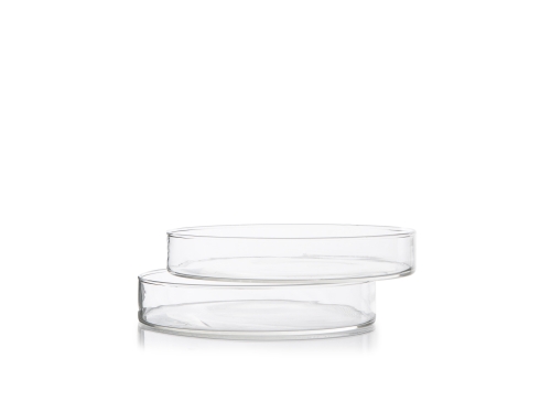 Petri dishes, 8cm, 10-pack - 100% Chef