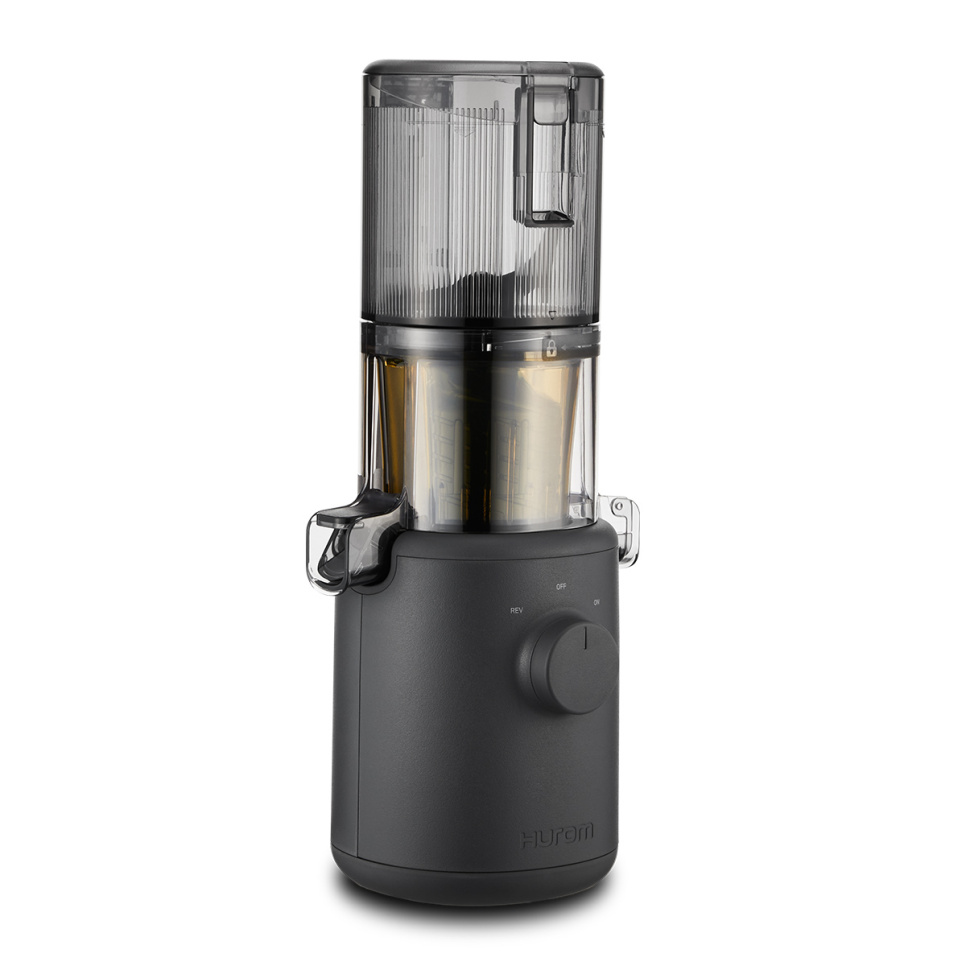 HUROM Slow Juicer H200 Extracteur de jus acheter